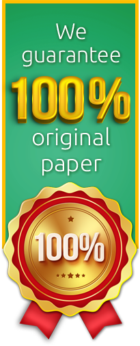 custom essay service